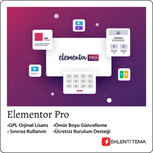 Elementor PRO v3.21.1 - WordPress Sayfa Düzenleyici