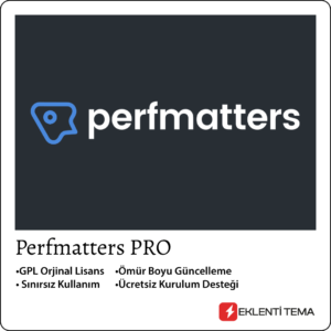 Perfmatters v2.2.4 - Wordpress'in En İyi Hız Eklentisi